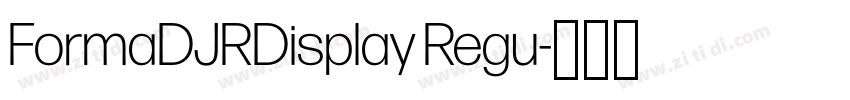 FormaDJRDisplay Regu字体转换